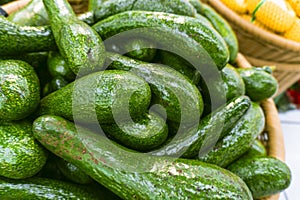 Basket of green avocados