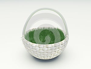 Basket with green grass