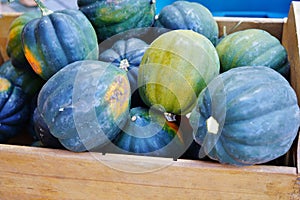 Basket of green and orange acorn squash in the fall