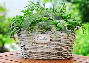 Basket with herbs