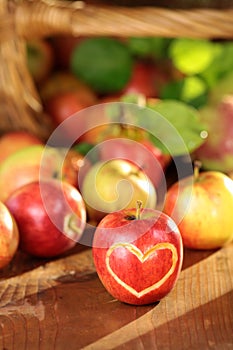Basket of apples on a wet table