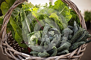 Basket of Kale, Collard greens vegetables