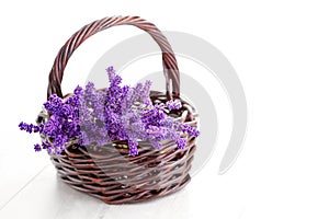 Basket of lavende