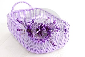 Basket of lavende