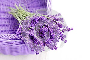Basket of lavende photo