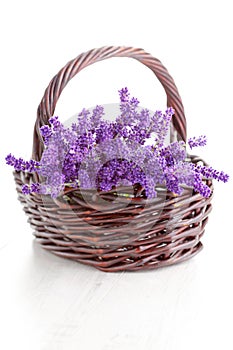 Basket of lavende photo