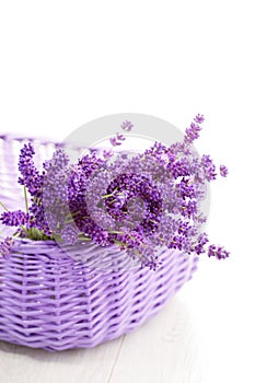 Basket of lavende photo