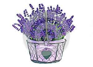 Basket of lavender flowers