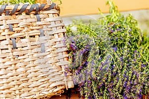 Basket with lavender flowers and blur background.
