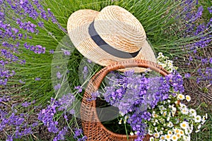 Basket of lavender flowers and straw hat
