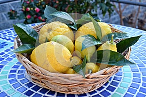 Basket of lemons and citrons