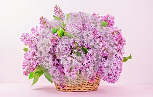 Basket of lilac pink flowers on pink background