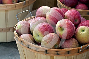 Basket of luscious red apples