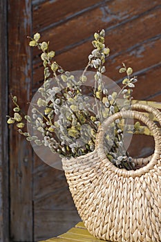 A basket made of reeds with branches of a flowering willow. Fragment. Vertical. No people