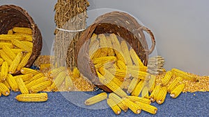 Basket of Maize