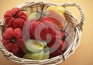 Basket with Martinique Hot Pepper, capsicum annuum