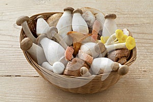 Basket with a mixture of fresh raw variation mushrooms