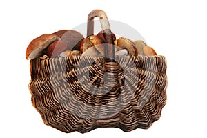 Basket of mushrooms.