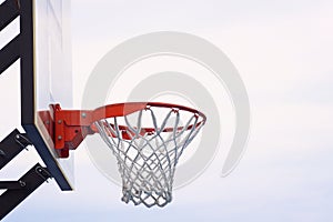 Basket with net