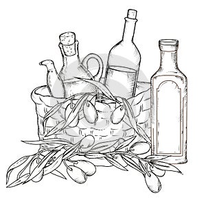 Basket with olive tree branches and bottles of oil, hand drawn engraving vector isolated.