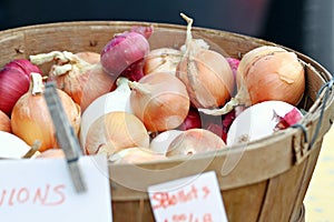 Basket of Onions