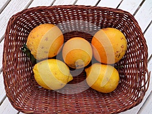 Basket of Oranges and Lemons Lesvos Greece