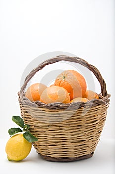 Basket of oranges and one lemons