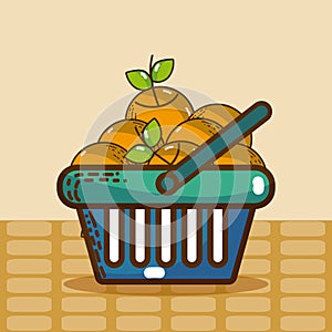 Basket with oranges super market products