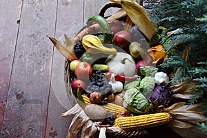 Basket of organic food vegetables