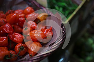 Basket of Organic Peppers at Farmers Market