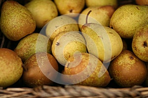 Basket Of Pears