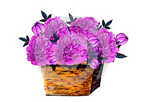 Basket Of Peonies. Watercolor Illustration. Ideal for Wedding Projects