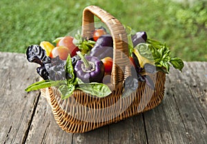In basket peppers, tomatoes and basil