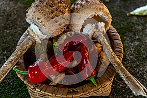 basket with peppers and various kinds of mushrooms