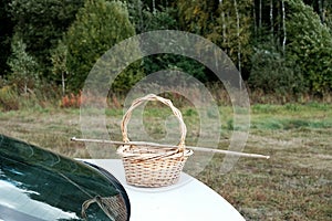 A basket for picking mushrooms or berries on the hood of car. Mushroom picking. Edge of forest, autumn landscape