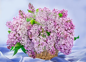 Basket of pink lilac