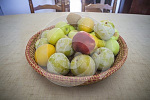 Basket plenty of seasonal fruit