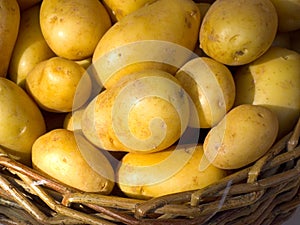 Basket with potatoes