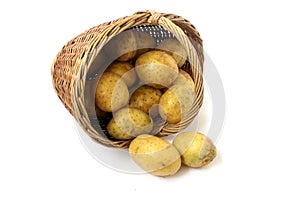 Basket with potatoes