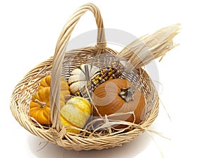 Basket of pumpkins and Indian corn on white backgr
