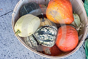 Basket with pumpkins and squashes