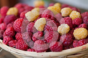 Basket of raspberries