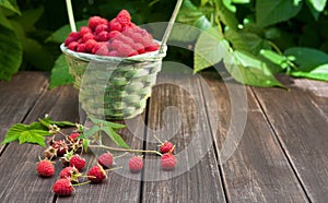 Basket with raspberries near bush on wooden table in garden