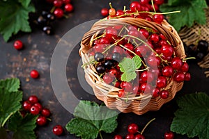 Basket with Red and Black currant with leaves.