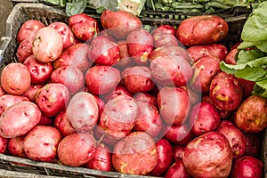 Basket of red potatoes at the market