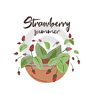 Basket with red strawberries and green leaves. Strawberry summer. Flat postcard, print on a white background