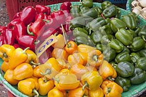 Basket of red, yellow and green capsicums