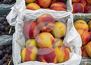 Basket of Ripe juicy nectarines at a fruit stand for sale