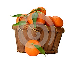 Basket of ripe mandarins.