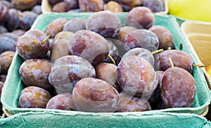 Basket of Ripe purple Plums at the farmers market